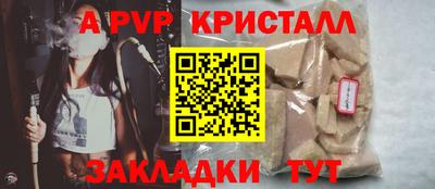 гидра Кингисепп