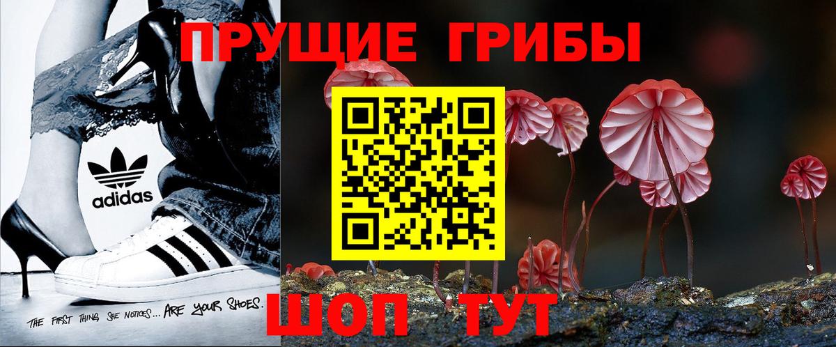 Галлюциногенные грибы прущие грибы Воткинск